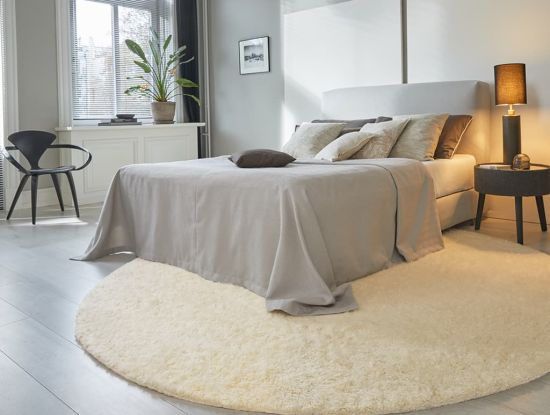 Descripción de la imagen