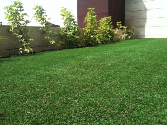 Descripción de la imagen